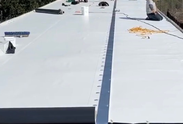 roofing repair in Santa Cruz