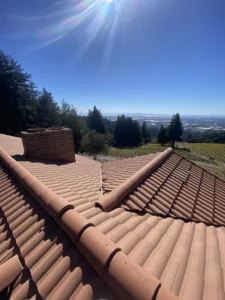 Why Hiring a “Roofing Contractor Near Me” is Your Best Choice in Santa Cruz